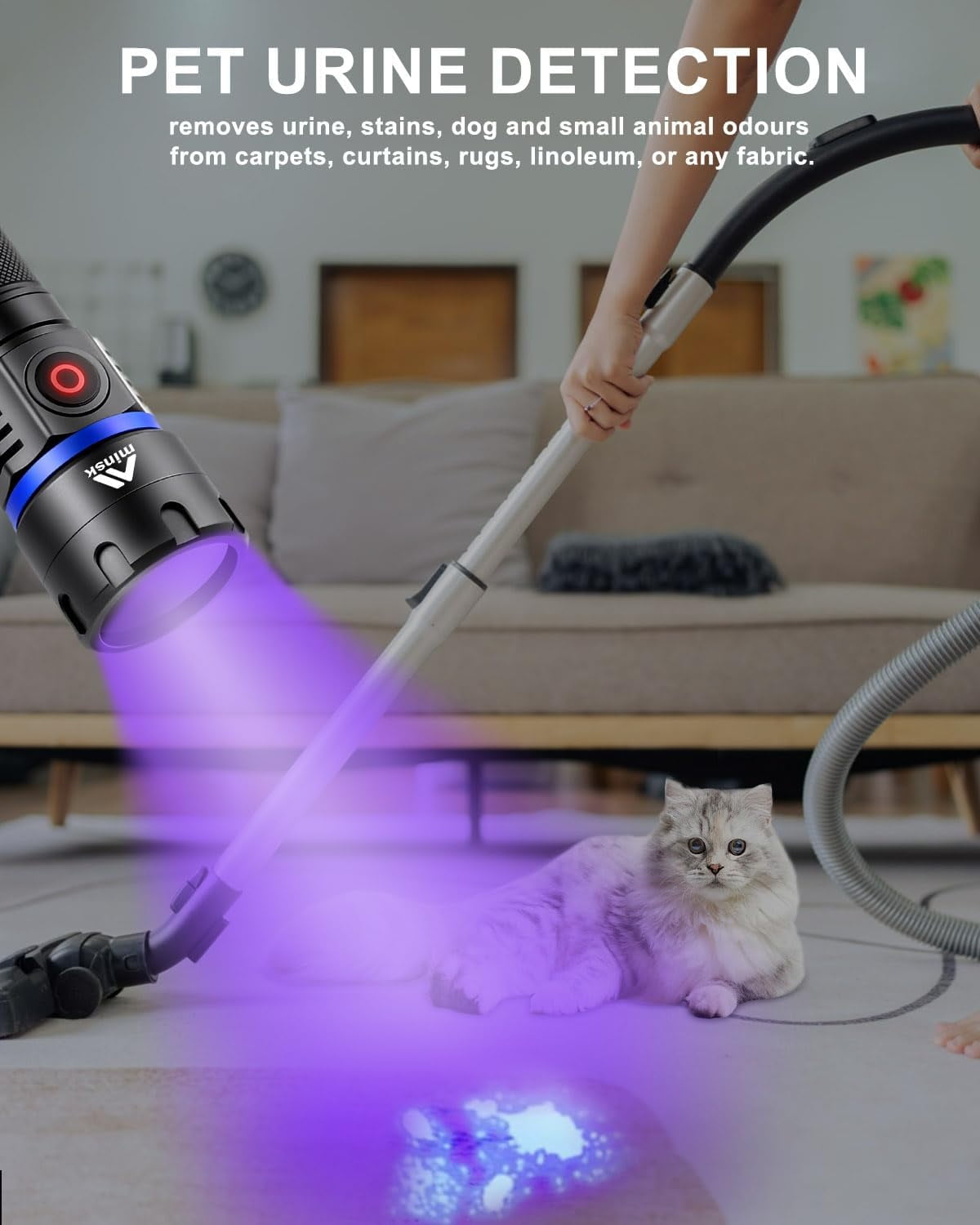 WOLFWAY Black Light 60W, Flashlights High Lumen, USB C Rechargeable, 2 Modes Powerful Lights for Pet Urine Detection, Resin Curing, Minerals, Blood Tracking, AC Leak