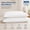 2 Pack Queen, variant on Ultra Thin Flat Soft Bed Pillows Queen Size Set of 2, Hypoallergenic Skin Friendly, Machine Washable Pillow for Sleeping 20"x30