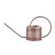 thumbnail image 1 of Regadera de boquilla larga Baoblaze Riego al aire libre Acero inoxidable 37,5x12x20 cm, 1 of 8