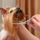 thumbnail image 5 of Tijeras de peluquería canina, tijeras profesionales de peluquería canina de acero inoxidable de 6 pulgadas, cuchillas curvas de peluquería canina, 5 of 5
