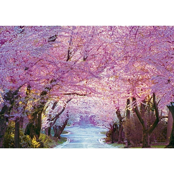 Cherry Blossom Road, a 1000-piece Puzzle by Puzzlelife
