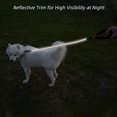 thumbnail image 4 of Reflective Extendable Dog Lead, Bungee Training Dog Leash for Dogs, 4 of 5