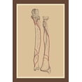 thumbnail image 1 of The Skeleton #1-Fine Art Canvas Print (20" x 30"), 1 of 1