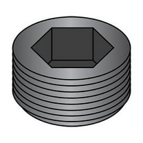 1/4 Dry Seal Socket Pipe Plug Plain (Pack Qty 100) BC-00250PPS