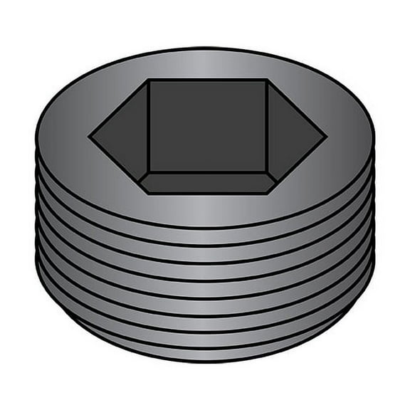 1/4 Dry Seal Socket Pipe Plug Plain (Pack Qty 100) BC-00250PPS