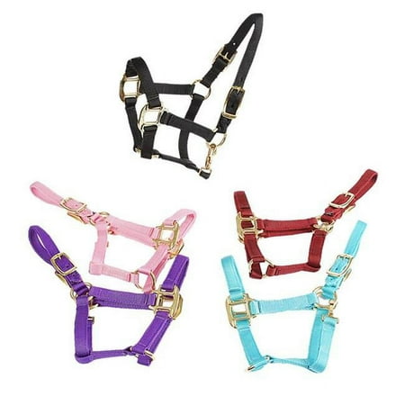 UPC: 0754888054098 | Jacks 1823-BU-L Deluxe Mini Halter  Burgundy – Large