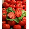 4-Pack, .25 in. Grande Proven Selections First Lady II (Tomato) Live Vegetable Plant