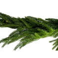 thumbnail image 3 of Regency International 60"Led Natural Touch Norfolk Pine Garland - 60, 3 of 6