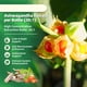 thumbnail image 5 of Suplementos de cortisol B que valen la pena CortiCare 10 en 1 120 veganos, 5 of 7