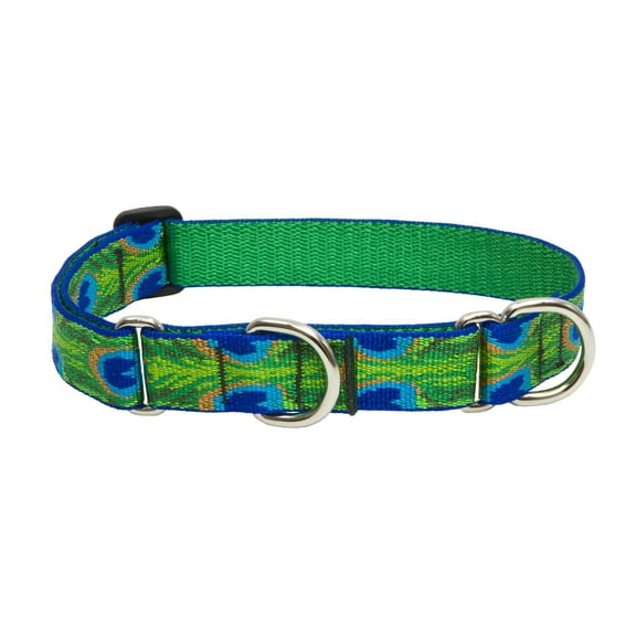 LupinePet Originals 1" Tail Feathers 19-27" Martingale Collar for Large Dogs