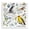 House Sparrow Finch Woodland Birds, variant on Stupell Industries Local Bird Diagram Animals Painting Wrapped Canvas Art Print Wall Art, 17 x 17