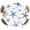 Blue, variant on Light Brown Coastal Starfish Round Tablecloth 36-44 Inch Round Fitted Table Cloth with Elastic Edge, Nautical Summer Beach Ocean Waterproof Table Cover Protector for Outdoor Picnic Party Dining