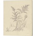 thumbnail image 3 of Great Art Now Vintage Nature Sketchbook by Danhui Nai 2 Piece Canvas Art Set Each 12"W x 15"H, 3 of 3