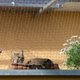 thumbnail image 3 of Valla para mascotas, red de seguridad para balcones, valla protectora de nailon para niños y mascotas, red antidepresión para gatos, 3 of 4