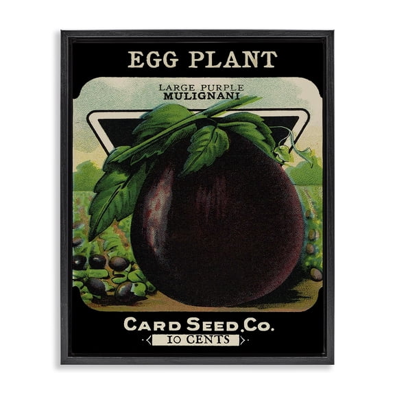 Stupell Industries Vintage Gardening Eggplant Food & Beverage Painting Black Floater Framed Canvas Art Print Wall Art, 17 x 21
