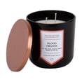 thumbnail image 3 of Chesapeake Bay Candle - The Collection - BROWN SUGAR CHESTNUT - 12oz Soy Wax 2-Wick Medium Candle, 3 of 18