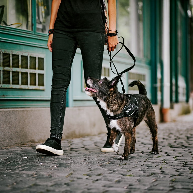 Julius-K9 IDC Powerharness Reflective Dog Walking Vest Harness