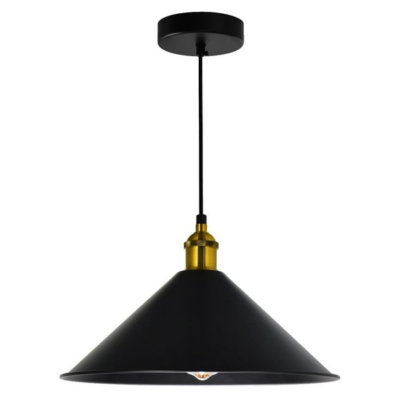 CWI Lighting Brave 1 Light Metal Indoor Mini Pendant in Black