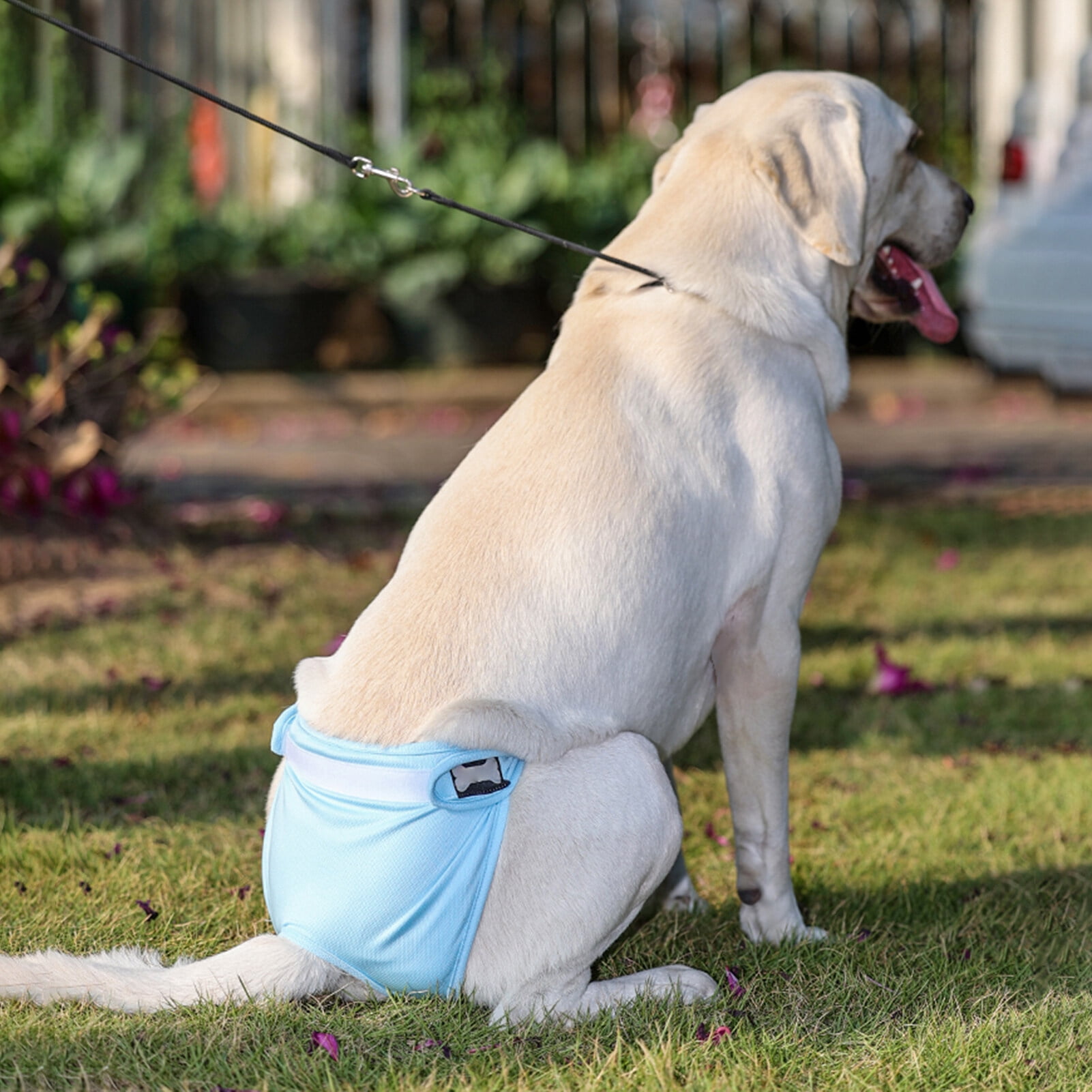 Washable Wrap Diapers for Female Dogs Reusable Female Dog Diaper Breathable Female Dog Wraps, Pack of 3