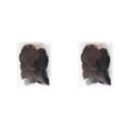thumbnail image 1 of pitrice Lot de 100 Filets pour Femmes Maille Élastique Invisible Légère Coiffure Ballerines Employé de Banque Danseurs Noir 2Ensemble, 1 of 6