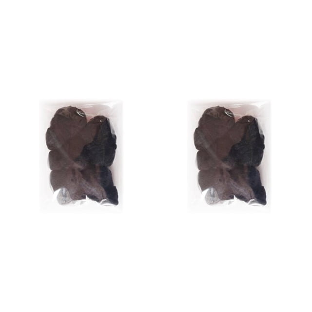pitrice Lot de 100 Filets pour Femmes Maille Élastique Invisible Légère Coiffure Ballerines Employé de Banque Danseurs Noir 2Ensemble