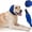 Blue, variant on Amztom Waterproof Dog Ear Muffs, Adjustable Noise-Reducing Ear Wrap for Bathing & Grooming(Yellow,Small)
