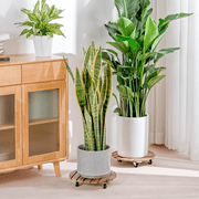 Bamworld 2 Pack Plant Stands Outdoor Plant Caddy with Wheels 12in Rolling Plant Stand with Wheels Planter Caddy Flower Cart Plant Dolly for Heavy Duty Large Plants Plant Rollers