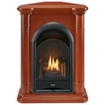 thumbnail image 3 of ProCom Dual Fuel Ventless Gas Fireplace System - 10,000 BTU, T-Stat Control, Apple Spice Finish - Model# FS100T-3AS, 3 of 10