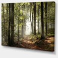 thumbnail image 3 of Designart Green Fall Forest with Sun Rays Canvas Wall Art, 3 of 4