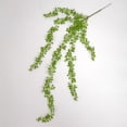 thumbnail image 3 of Decoración de pared realista de 75 cm de largo para el hogar y el jardín. Cadena de perlas falsas colgantes con suculentas, 3 of 8