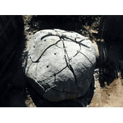 Dexpan Expansive Demolition Grout 44 Lb. Bucket for Rock Breaking, Concrete Cutting, Excavating. Alternative to Demolition Jack Hammer Breaker, Jackhammer, Concrete Saw, Rock Drill (DEXPAN44BKT2)