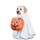 thumbnail image 2 of Estatuas Creativas Gato Y Perro Fantasma Halloween 45565+2155+12 (perro), 2 of 9
