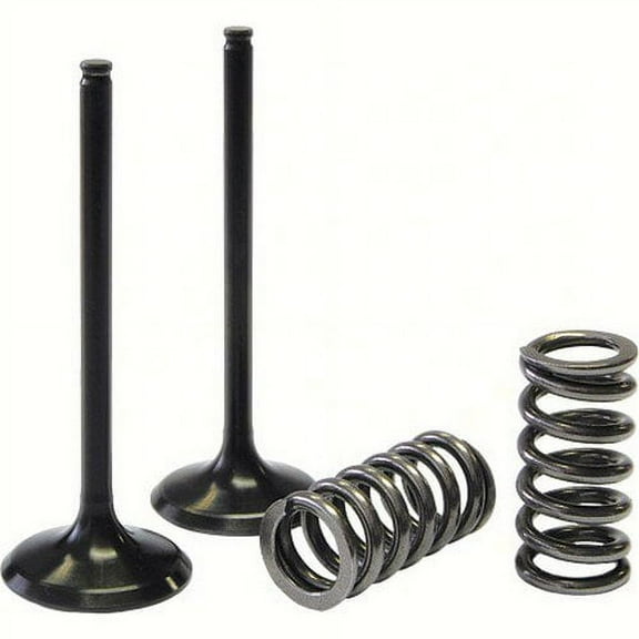 ProX  28.SIS4338-2; Steel Intake Valve / Spring Kit
