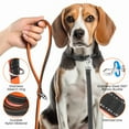 thumbnail image 2 of MASBRILL Dog Collar And Leash Set,Reflective Dog Collar With Dog Tag ,Soft Neoprene Padded Breathable ,Odour Resistant And Fast Drying Dog Leash+Dog Collar,Black&Orange-L, 2 of 7