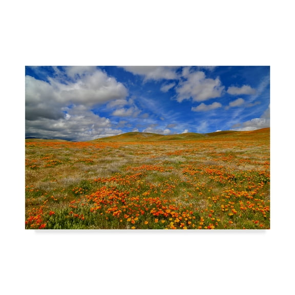 Trademark Fine Art 'Poppies With Clouds' Canvas Art by American School