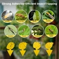 thumbnail image 5 of Fruit Fly Trap & Fungus Gnat Traps 40 Pack – Yellow Sticky for House Indoor Outdoor Plants, Non-Toxic and Odorless Insect Bug Catcher, 5 of 5