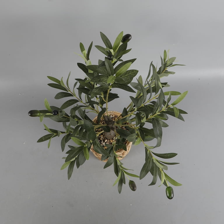 Flora Bunda 26