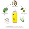 thumbnail image 2 of Dr.Natural Body Wash Gel de baño. Cítricos. 946 ml. 100% Hecho a Base de Plantas, Aceites y Extractos Naturales y Orgánicos. Hidratante para Todo Tipo de Piel. Uso Familiar, 2 of 7