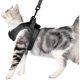 thumbnail image 1 of Arnés y correa para gato collar gatito ultraligero gato para caminar chaqueta para correr dulce y Afortunado Sencillez, 1 of 4