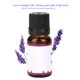 thumbnail image 5 of Essential oil fragrant essential oil plant essential oil Natural Fragrant Plant Essential Oil Relieve Fatigue Improve Sleep 10ml Lavender ANGGREK Otros, 5 of 6