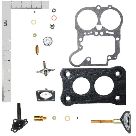Carburetor Repair Kit Fits select: 1979-1981 FORD MUSTANG, 1979 FORD PINTO