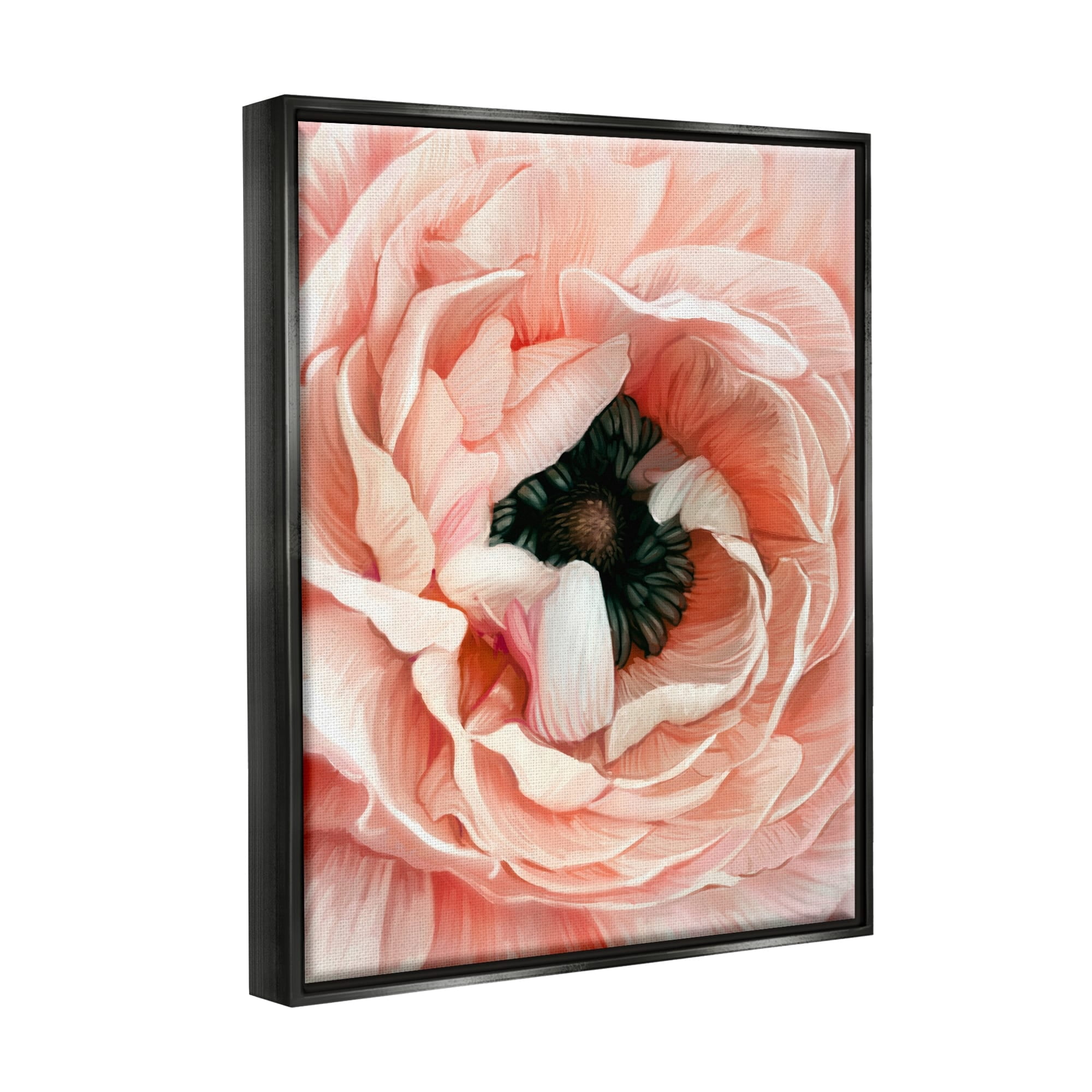 Stupell Industries Up Close Pink Peony Intricate Sunlit Petals Painting Jet Black Floating Framed Canvas Print Wall Art, Design by Ziwei Li