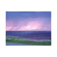 thumbnail image 2 of CADecor Purple Rain Wall Tapestry Wall Hanging Wall Art Home Decor 40x60 inches, 2 of 2