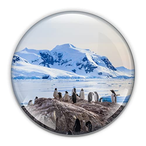 Antarctic Paperweight in Gift Box, 3 Inch Crystal Dome, Perfect for House Warming Gift