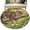 Green, variant on Sleeping Cat Christmas Bathroom Rug Washable 2x3 Entryway Rug Non Slip Branches Pine Cone Snowy Front Door Mat Low Pile Indoor Doormat Throw Floor Carpet for Kitchen Bedroom Entrance