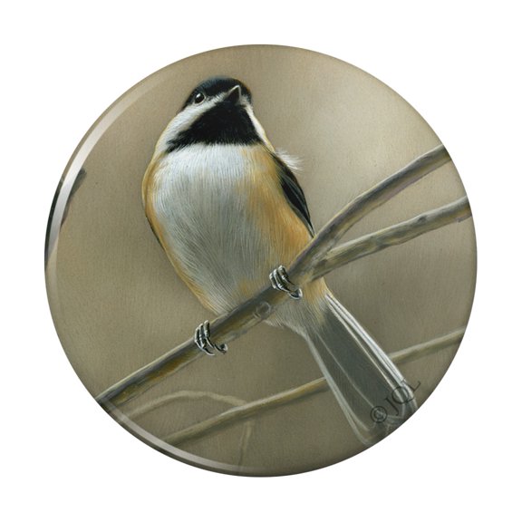 Black-Capped Chickadee Bird Songbird on Tree Branch Pinback Button Pin