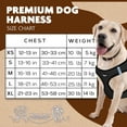 thumbnail image 2 of Murphy & Roxy Mesh Vest Harness (Black, Extra Large), 2 of 6