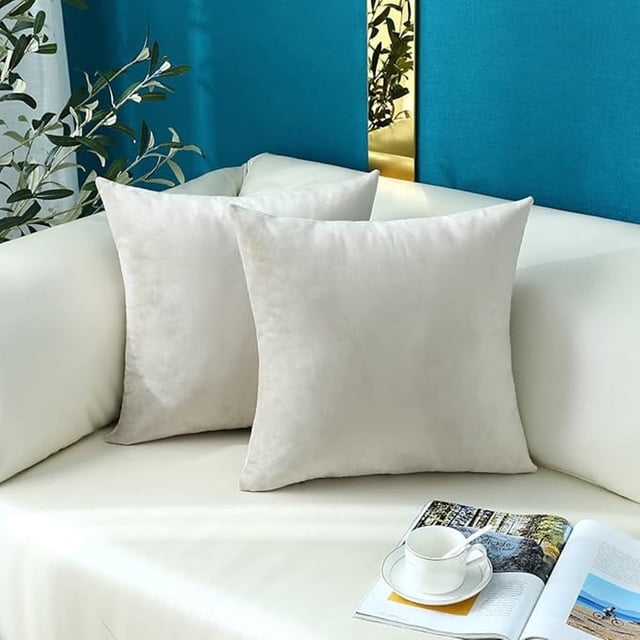 Cterwk - Juego de 2 fundas de cojín de terciopelo para salón y dormitorio, decorativas, de color liso, para sofá, sillón y silla, 45,7 x 45,7 cm