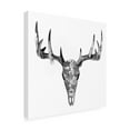 thumbnail image 2 of Trademark Fine Art 'Botanic Mount Gray Skull I' Canvas Art by Grace Popp, 2 of 3