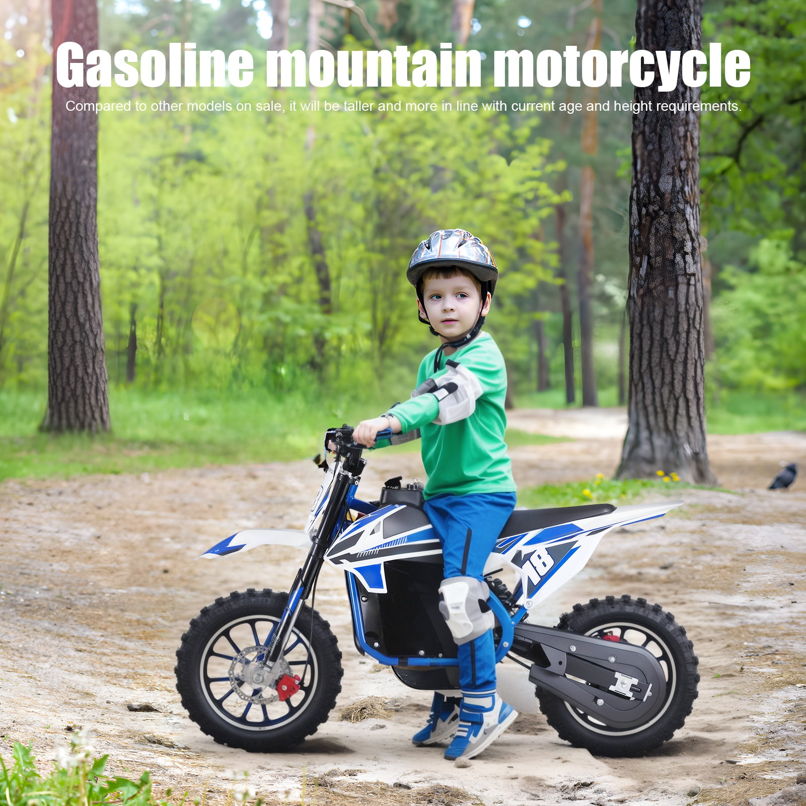 Aqyh Electric Dirt Bike for Adults and Teens Electric Motocross Motorcycle Dirt Bike with 350W Motor and 36V Battery Speeds Up to 15.5 Miles Per Hour, Blue